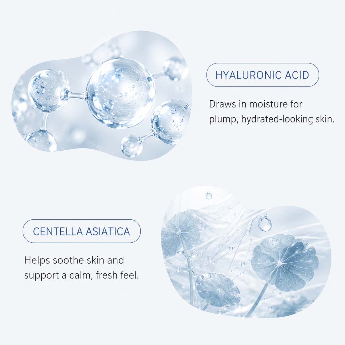 ZÉRA Korean Water-Based Sun Serum SPF50+ PA++++